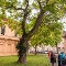 Geschichte an der Schloßkirche